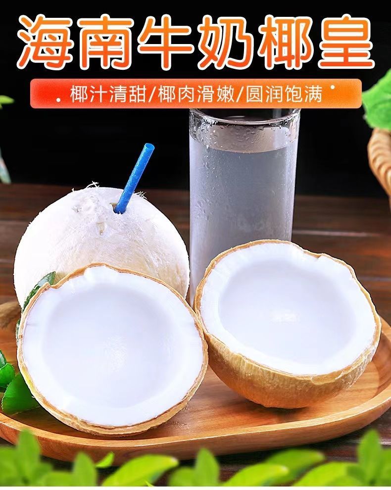 海南椰子新鮮椰青椰白孕婦當季水果椰皇毛椰奶椰海南特產(chǎn)現(xiàn)摘